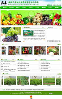 咸阳市渭城区盛春蔬菜专业合作社 万企互联，数字化农业的新引擎