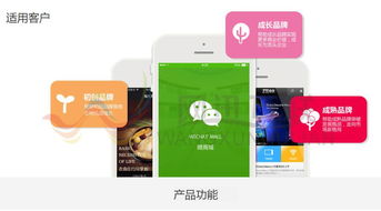 珠海网讯互联网站建设 打造高端企业形象的数字门户