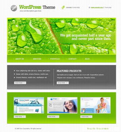 铜锣湾网页设计与网站建设服务 一站式数字解决方案